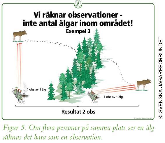 Men hva hvis...???? Én jeger ser samme dyret gjentatte ganger i samme jaktsituasjon? Én observasjon 10 jegere på samme plass ser samme dyr?