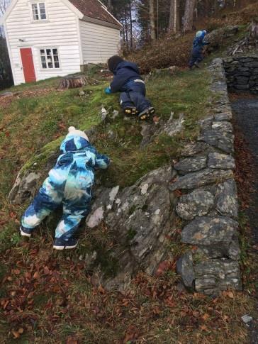 kontinuerleg vurdering. Nyttar innspel frå medarbeidarane på samarbeidsmøte i gruppene. Møte i ped.leiargruppa tre onsdagar i månaden.