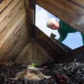 BO PÅ LÅNAN Hva hadde du tatt med deg til en øde øy? Vi anbefaler eventyrlyst, nysgjerrighet og gode sko. Lånan ligger ca. 3 mil ut i havet, nordvest for øya Vega i Nordland fylke.