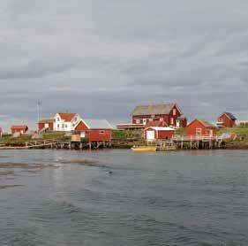 Øya har ikke strøm eller båtforbindelse. Det gir oss en helt spesiell ro i sjelen å vite at vi opplever øya akkurat slik som ærfuglene.