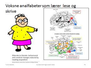 avdekkes tidlig ved hjelp av et enkelt