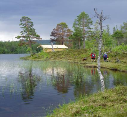 Post 12 Langtjenna Vegbeskrivelse: Ta til høyre i vegkrysset her Kjør til Labbi bru i Vikvarvet, og ta av til venstre mot Sørungen. Bomavgift KUN KORT.