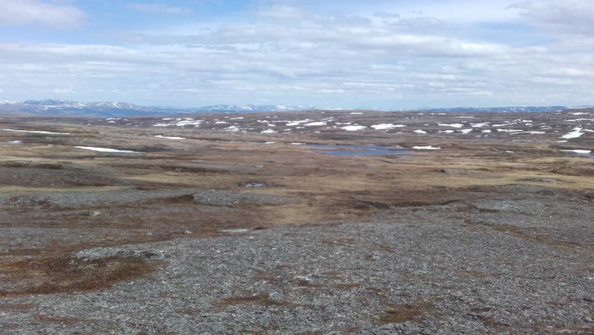 Post 16 Storvollfjellet 820 moh Vegbeskrivelse Kjør til Øverbygda, ta av til Mosletta og videre veg opp til Østrungen.