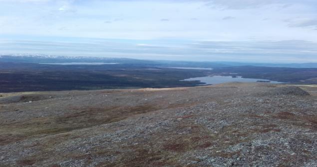 Følg tursti som går til Bringen i ca. 1 km til over skogbeltet.