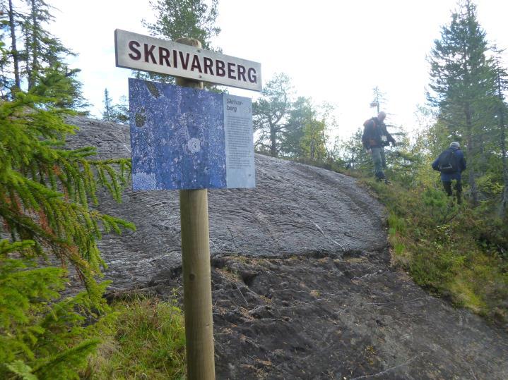 gårdsbruket Røssåsen. Prøv å parker før gården.