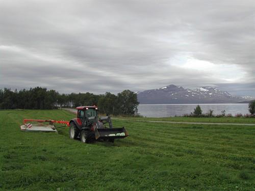 To trinns høsting En mye brukt høstelinje, hvor graset blir lagt i streng på bakken og fortørkes før det plukkes opp til lagring i plast eller silo.