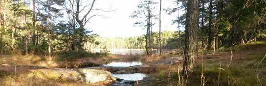 Turoversikt 2018 April: Søndag 8. Vi møter våren! Tirsdag 29. Torsdag 31. Kveldstur i Søndre Nærtur i Søndre Lørdag 21. Tirsdag 24.