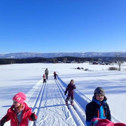 Gjennom arbeid med fagområdet nærmiljø og samfunn skal barnehagen bidra til at barna blir kjent med samisk kultur.