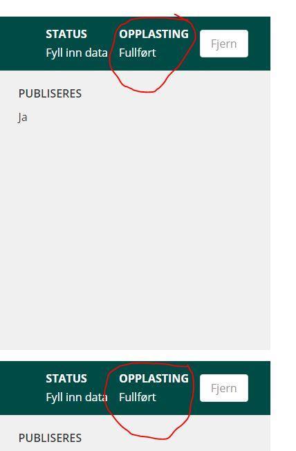Applikasjonen vil verifisere at vedleggene er lastet opp i statusfeltet "Opplasting" til høyre i grønn
