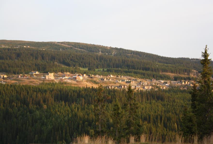 Figur 9. Lokaliteten ligger i nærheten av Hafjell alpint- og område fritidsboliger Figur 10. Planutkast. Skravert område i sør er en rasmarkslokalitete med verdi «viktig». Kilde : Naturbase.