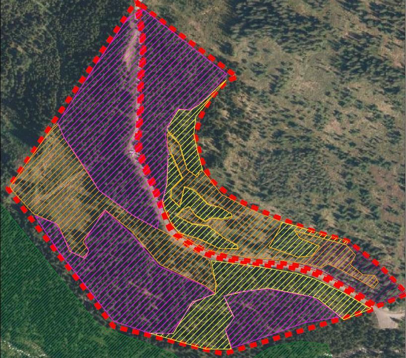 Nærmere beskrivelse av naturtyper og utforminger: Både Haugan vest I og II ln har tynt jordsmonn over er blokkmark og fjell.