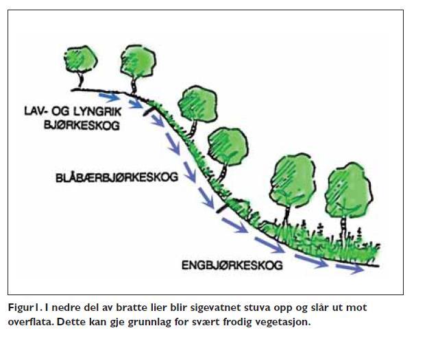 Topografi og beitekvalitet i utmark