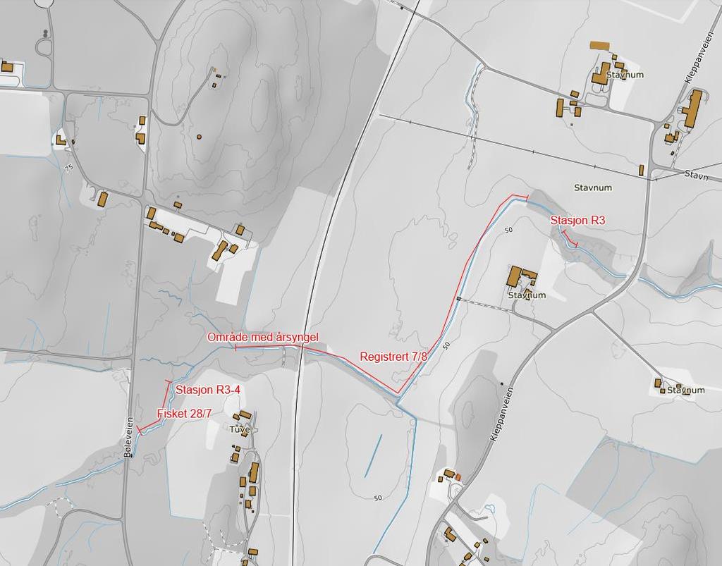 uframkommelig et lite stykke. Dette området er imidlertid bare ca 80 meter nedenfor der vi startet å fiske på stasjon R3-4 og hvor vi da altså ikke fant fisk (figur 5). Figur 5.