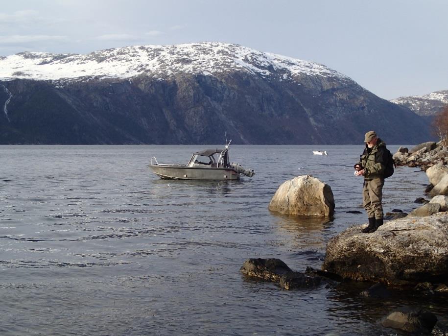 Sjøørret - en viktig sportsfisk Sjøørret er en viktig sportsfisk i vassdrag og kystnære områder Slike områder er under press for utbygging av vannkraft; (luft)havneutbygging,