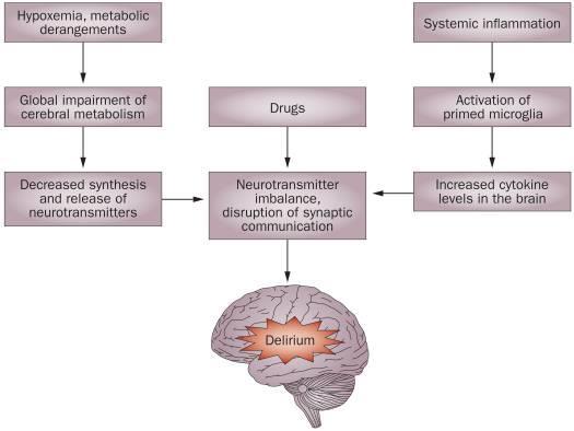 Delirium patofysiologi