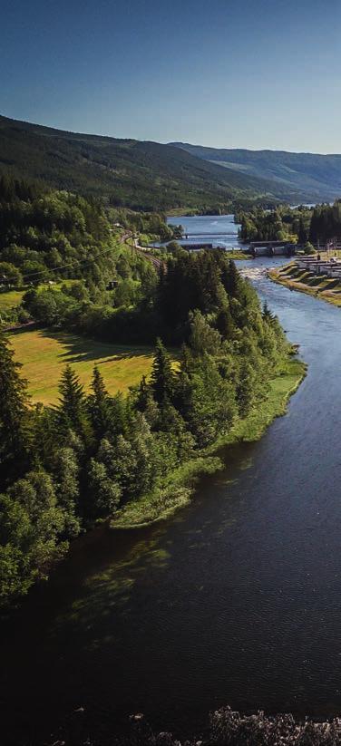 5-stjerners opplevingscamping 1 km frå Ål sentrum ligg Halling dal Feriepark, ein 5-stjerners camping, kåra