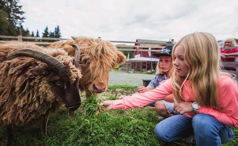 Barnas valg Tilbring sommarferien med å ri på hest, på eit