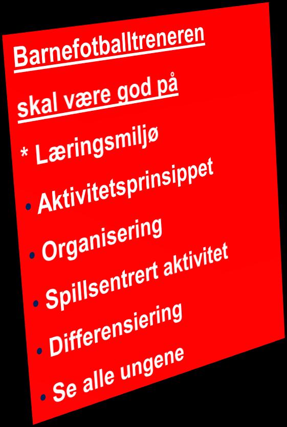 Trenerveilederen som