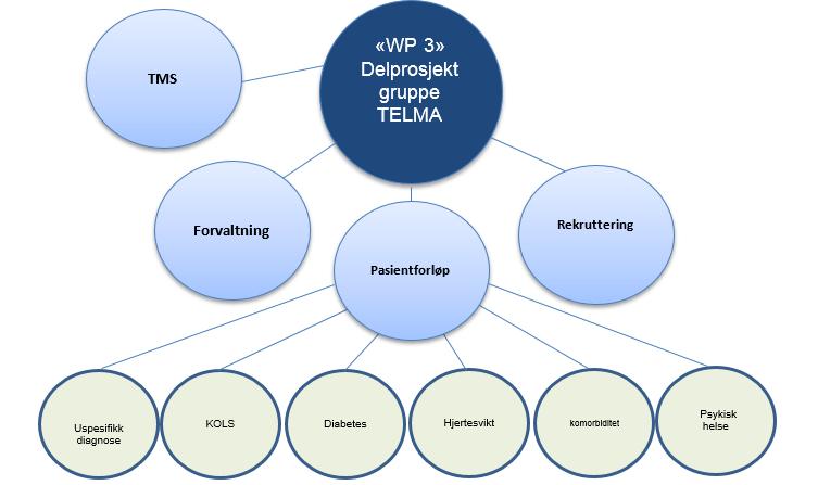 Organisering WP1: Ledelse, koordinering og kommunikasjon WP2: