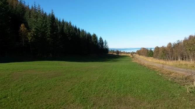 Steinplukking og raking tok mye tid da vi hadde en del vannskader her. Frø ble sådd i juni og det ble tromlet etter med åkerrull. Mengder med nedbør førte til nye skader som igjen ble utbedret.