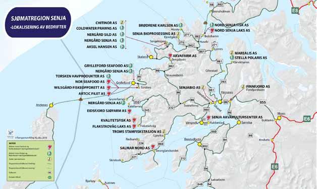 «Sjømatklyngen Senja» er i dag et etablert partnerskap med over 40 bedrifter som har sin virksomhet i Senjaregionen innenfor fangst og fiskeri, sjømatindustri, havbruk, marin ingrediensindustri og