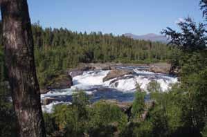 Målselvfossen. Foto: Målselv kommune Nordlys. Foto: Jarle Wæhler/Statens vegvesen 2 700 syselsatte Vekst i reiselivet og økt sysselsetting I perioden 2013-2016 vokste reiselivsnæringen i Troms fra 2.