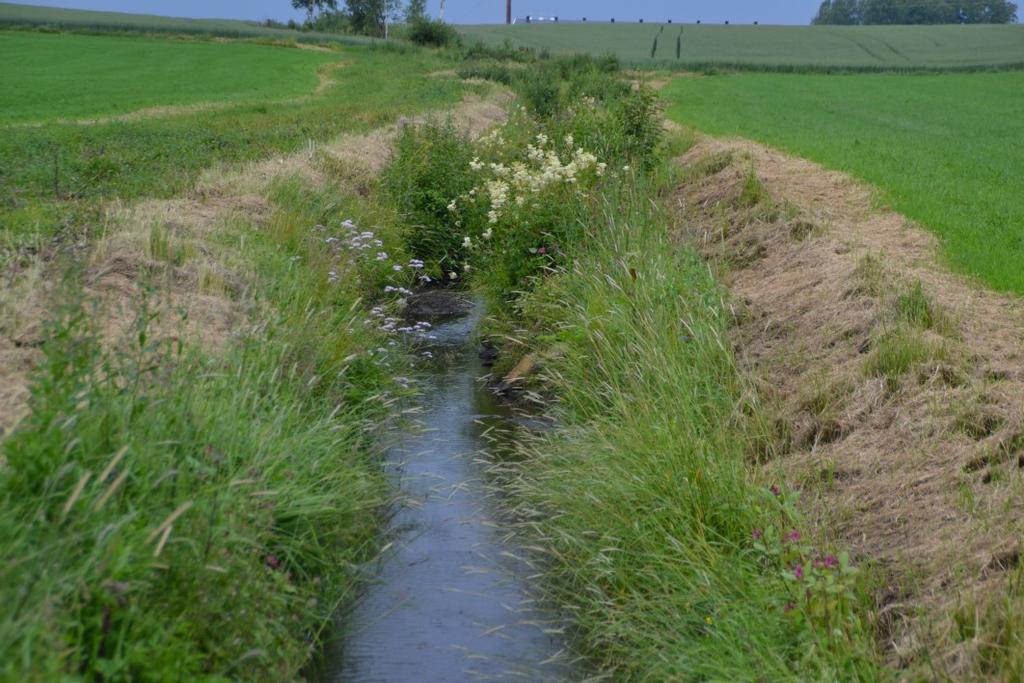 FOR MER INFO SE: WWW.FYLKESMANNEN.NO/HEDMARK.RMP 13 Ved søknad om tilskudd skal det oppgis om vannveien/vegetasjonssonen er anlagt i tilknytning til korn- eller potet-/grønnsaksareal.