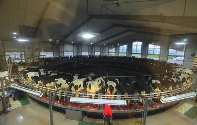 Vi skal også på flere gårdsbesøk, blant annet på en melkeproduksjonsgård med over 3500 kyr! Vi besøker et Amishsamfunn, og har VIP billetter til Midtvestens største landbruksmesse, Big Iron Farm Show.