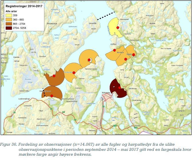 alkekonge, fiskemåke, havelle, hettemåke, krykkje, lomvi, praktærfugl, sjøorre, stellerand, storlom, svartand, teist,