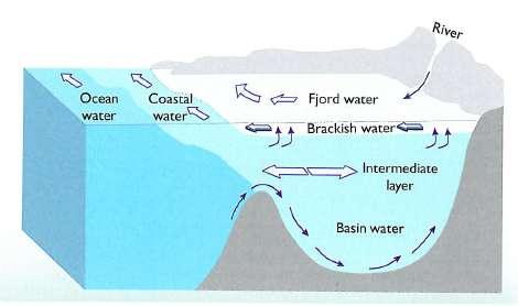 Kyst fjord interaksjonen Fjordvann (ferskvannspåvirket) i overflaten Intermediert vannlag (kystvann) Åpent hav