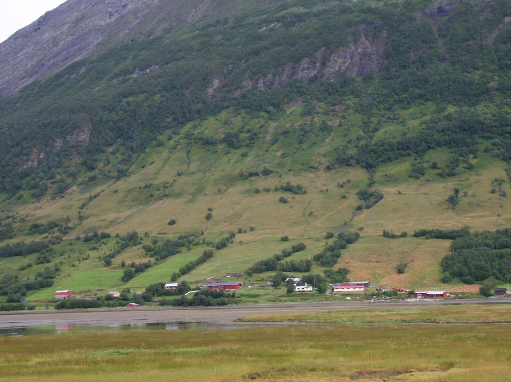 Gjengroing Balsfjord av kulturlandskapet.