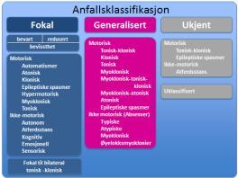 hjernehalvdelen Hvordan anfallene ser ut