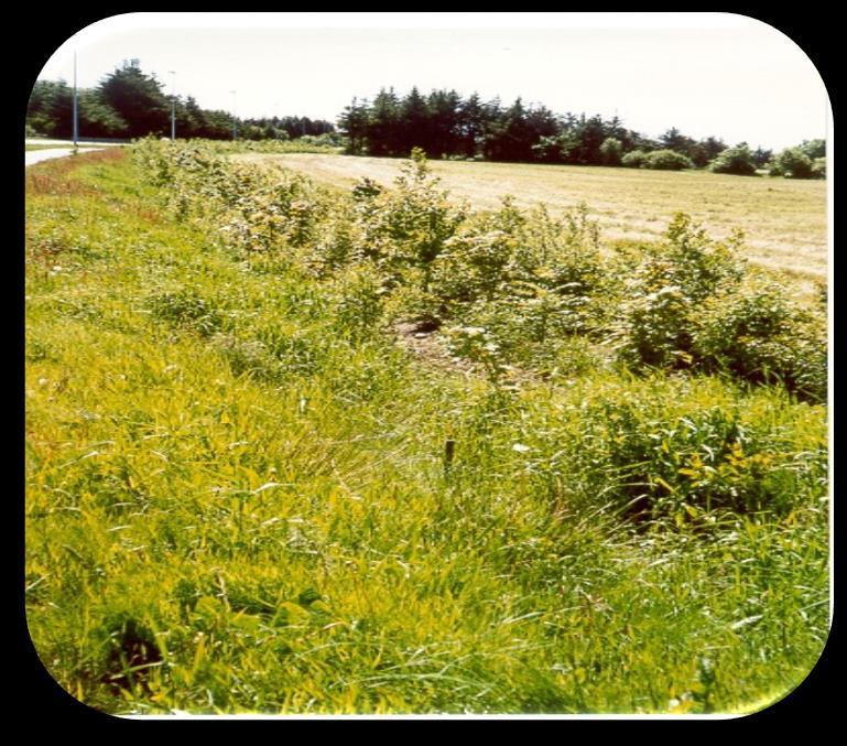 temperaturen i vekstsonen fremme biologisk mangfold Omfatter