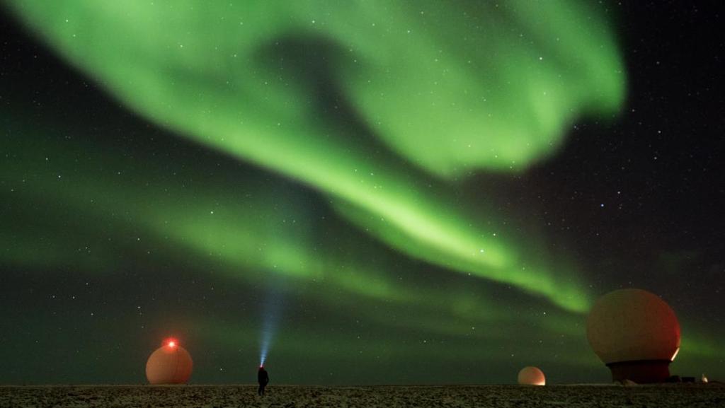 Feltinspektørtjenesten i perioden juni til august ble gjennomført som planlagt. Tre feltlag dekket området fra Bellsund til Wijdefjorden på Spitsbergen.