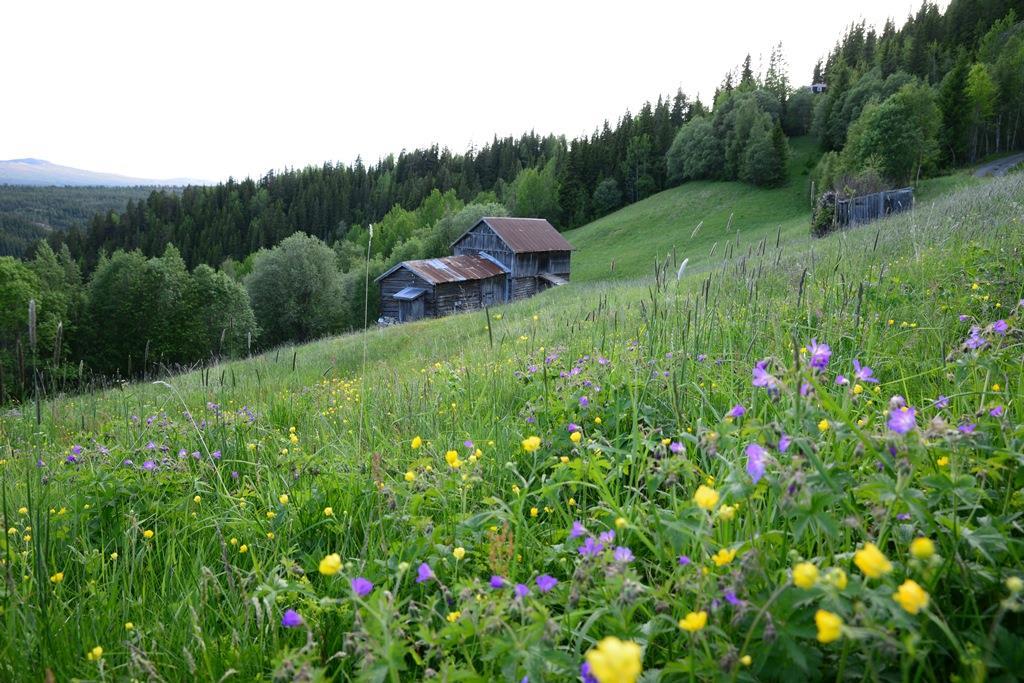 Nore og Uvdal kommune Foto: