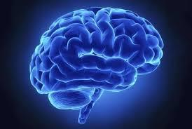 Epilepsi Psykisk utviklingshemming Psykose CP Autisme