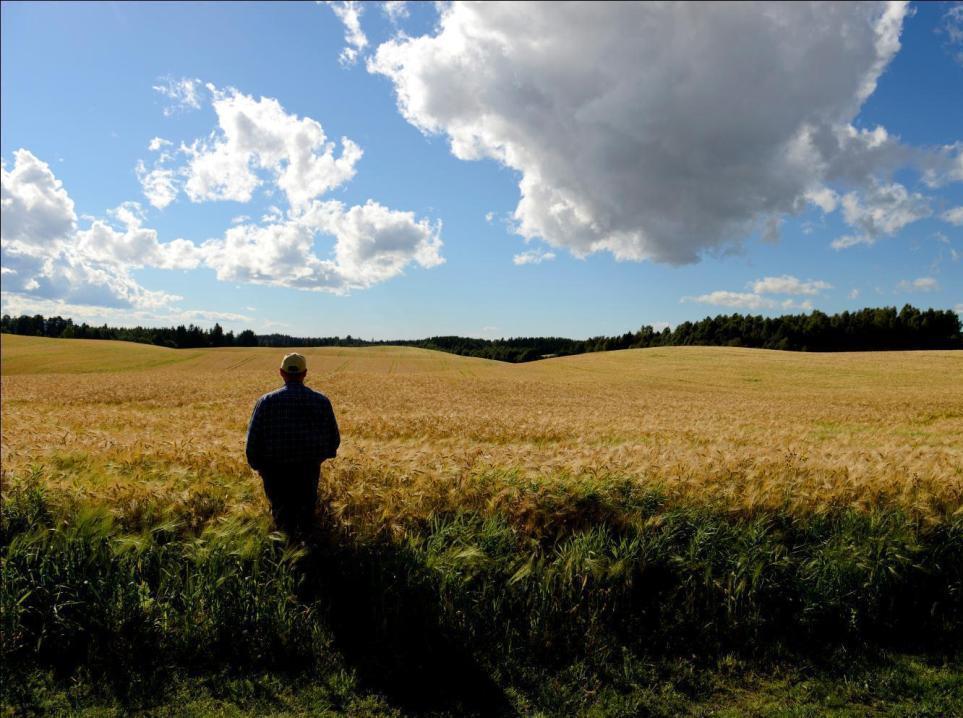 Spesielt for landbruket Noen særegne sårbarhetsfaktorer: Prisgitt «politikk, vær og virus» Ensom