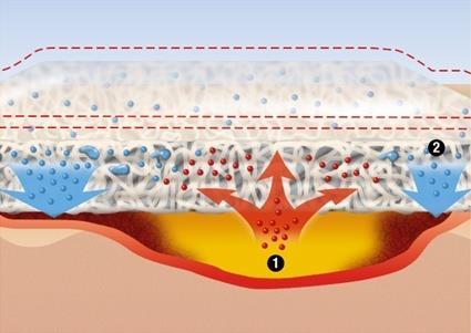 som flytende eller gelform Har både en biofilm løsende og