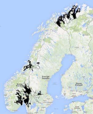 eller GPS-sender i Norge