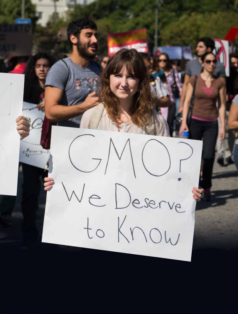 Rapporten Forbrukernes syn på genmodifisert mat: GMO-mat eller ikke? ble ferdigstilt mars 2017.