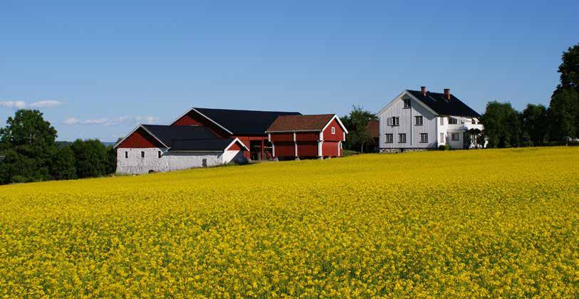 VIKTIGE HENDELSER PÅ GENTEKNOLOGIOMRÅDET I 2017 Nettverket har bedt om offentlig utvalg/nou Nettverk for GMO-fri mat og fôr ba i brev av 13.