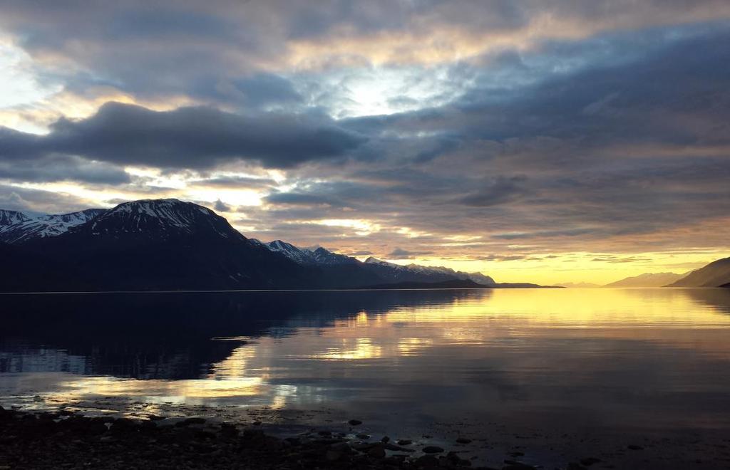 20. Midnattsol i Lyngen, sett fra Saltinråka ved Skibotn. Funnlister. Alle funn er lagt ut på Artsobservajoner.no, og de også søkbare på Artskart.