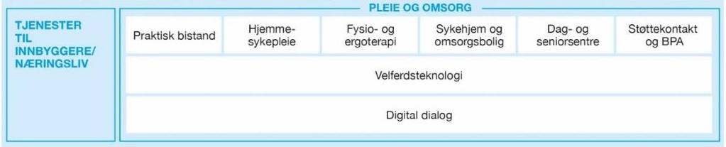 Infrastruktur planlegge og starte flytting av Nesset inn i prosjekt Grunnmur Faggrupper innlemme Nesset i faggruppene i ROR-IKT Bestillerutvalg innlemme Nesset i dette utvalget HSPro/Profil