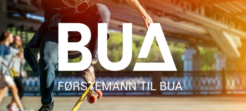 Opprettelse av to BUA utlånssentraler for sportsutstyr i samarbeid med Holmen IF og Heggedal Skole. Gjensidigestiftelsen har bevilget kr 630 000 til idrettsrådets arbeid med ordningen.