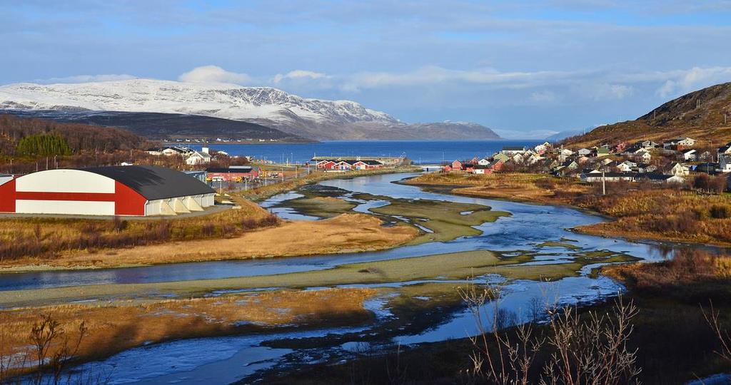 2015-2019 Styrer, råd og utvalg for perioden