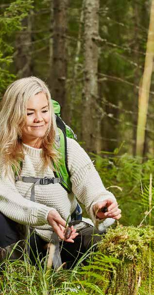 styrets beretning 2017 2017 KOMPETANSE SOM LØNNER SEG VIKEN SKOG GJØR DET ENKLERE Å EIE OG FORVALTE SKOG.