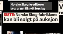 etablering av ny norsk skogbasert industri.