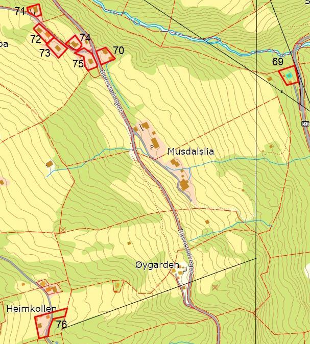 16 2.7 Område: Musa/Bjørnstadåa Kartblad nr.