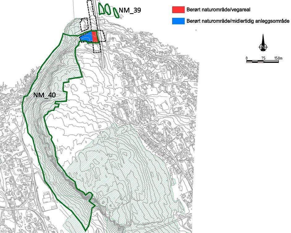 NM_39 Steinholmene BN00068890 (ID i Naturbasen) Åpen kalkmark (B) på tre delområder på Steinholmene. Lokaliteten har relativt artsrik flora på kalkberg.