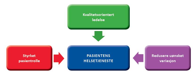 Lederutvikling og ansattengasjement b. Integrering av pasientsikkerhet og HMS c.